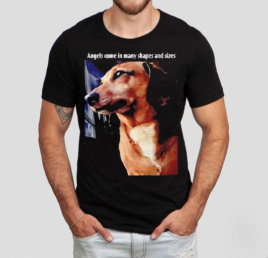 Angels Come In Many Shapes And Sizes Frankie Shirt