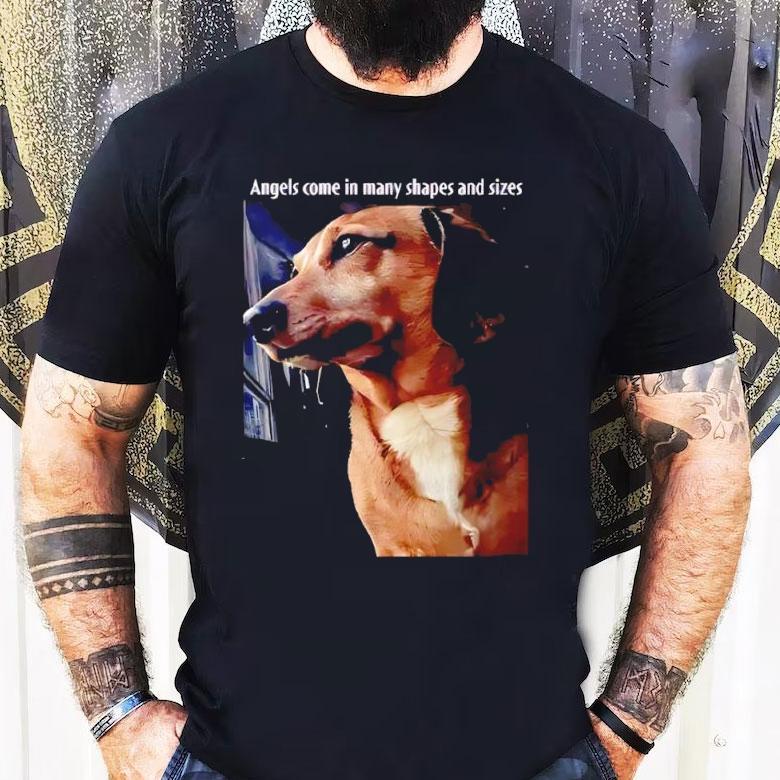 Angels Come In Many Shapes And Sizes Frankie Shirt