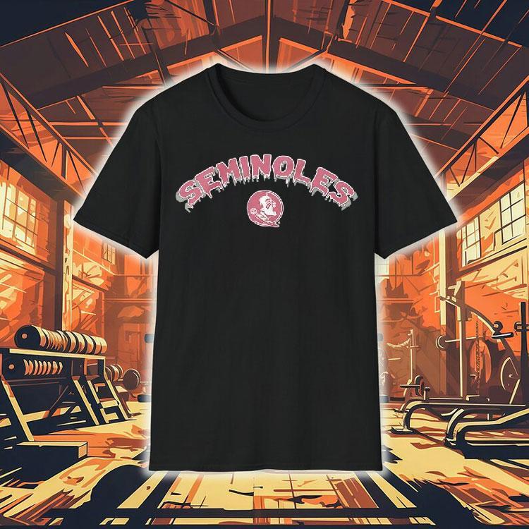 Logo And Name Of The Florida State University Fsu Seminoles Shirt