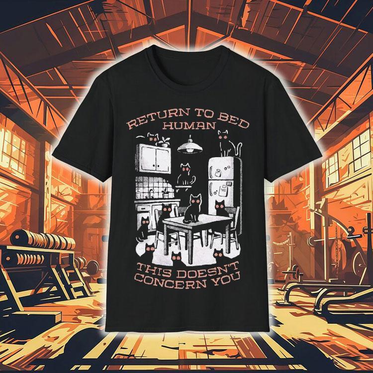 Return To Bed Human This Doesn't Concern You Shirt