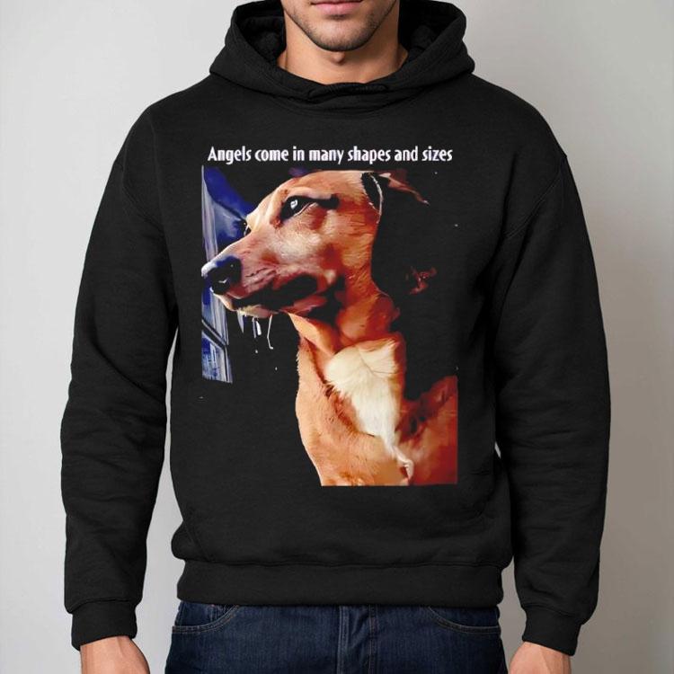 Angels Come In Many Shapes And Sizes Frankie Shirt