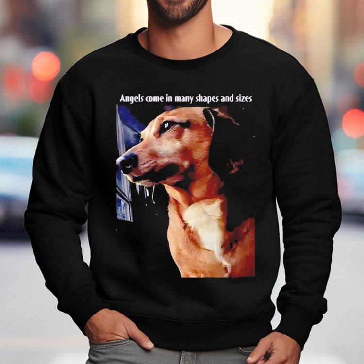 Angels Come In Many Shapes And Sizes Frankie Shirt